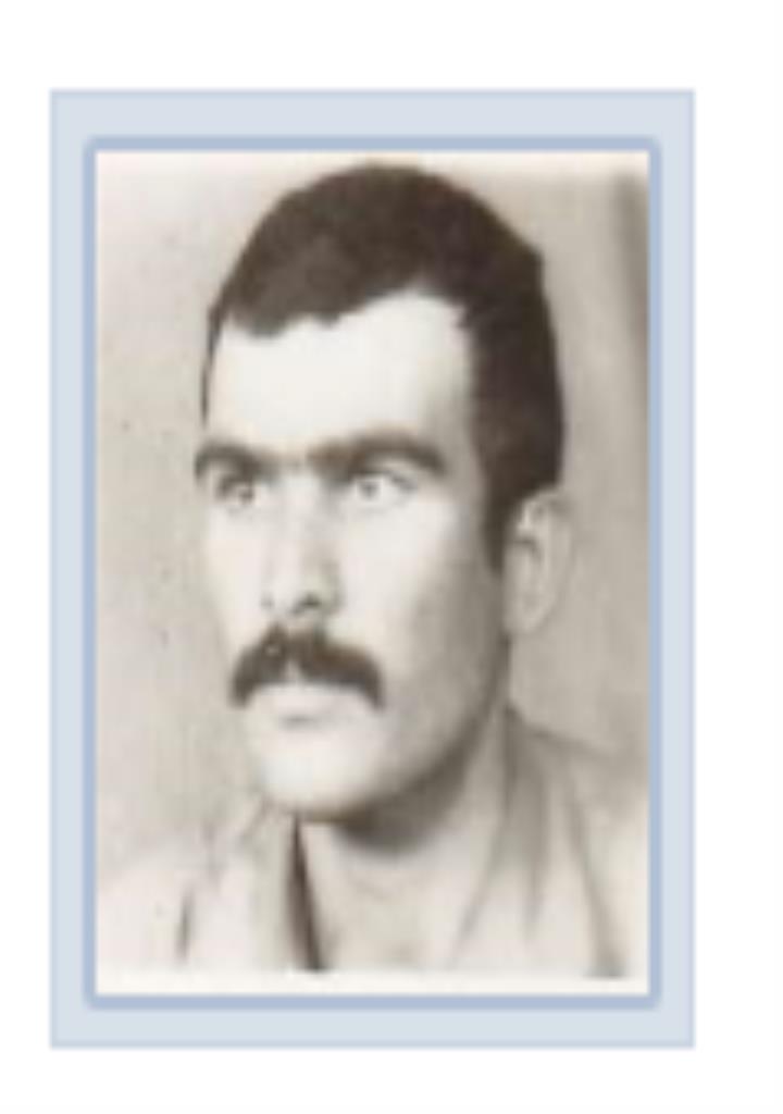 فاقد تصویر